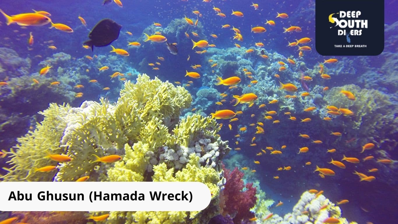 Abu Ghusun Hamada Wreck