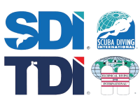 SDI