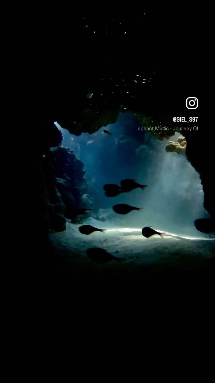 Deep South Divers