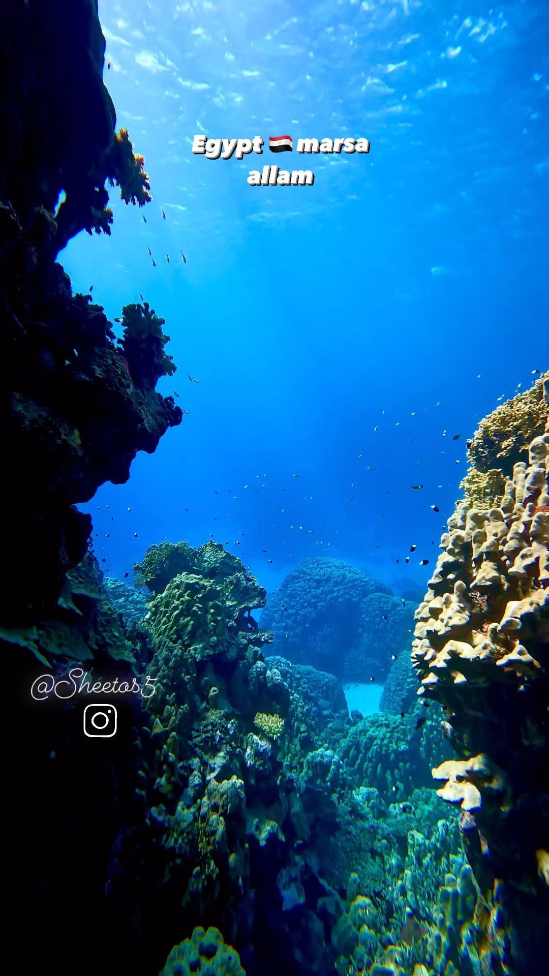 Deep South Divers