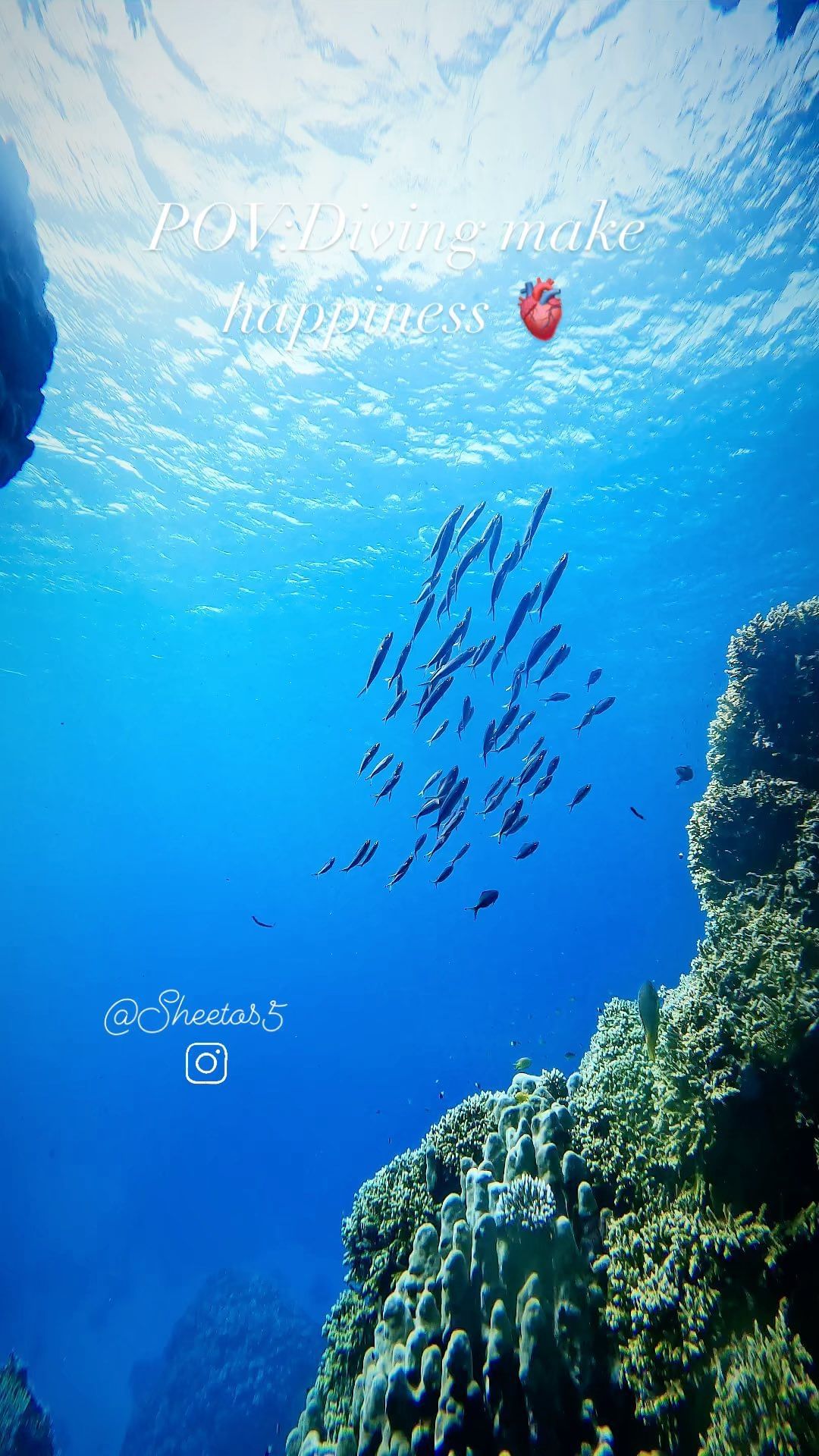 Deep South Divers