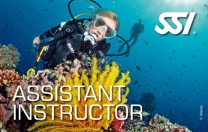 Cours d'assistant instructeur