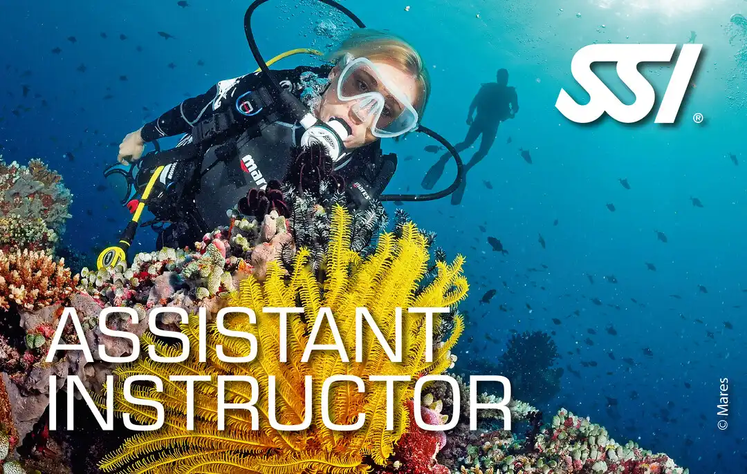 Assistant-Instructor-Kurs