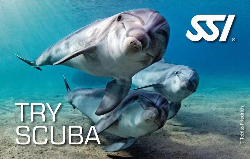 Try Scuba Diving in Marsa Alam