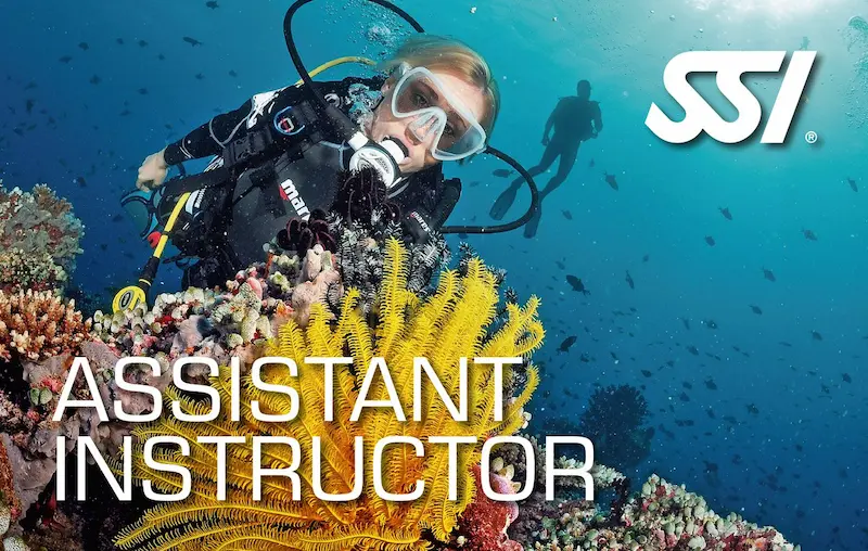 Assistant Instructor Course 