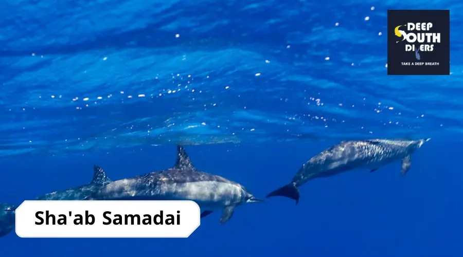 Sha'ab Samadai