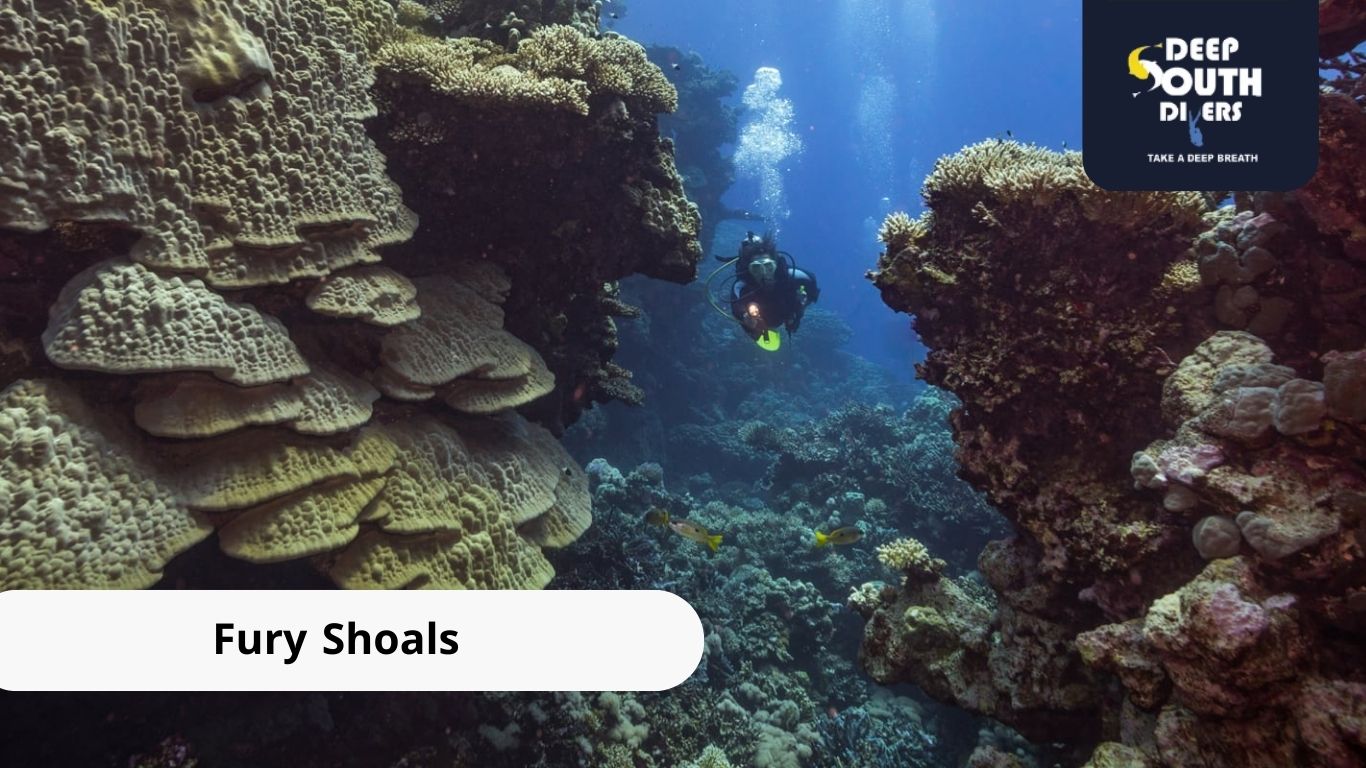 Fury Shoals