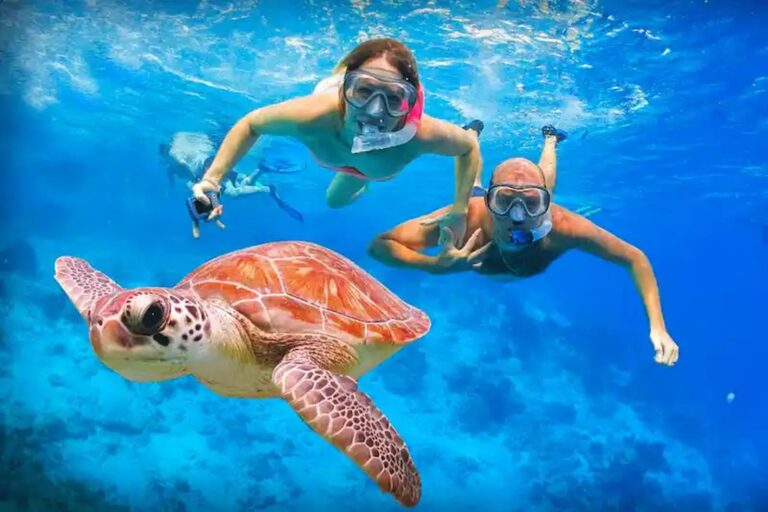 Marsa Alam Tours & Activities