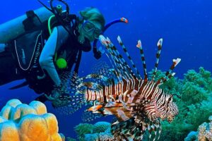 Zerib Kebir: Unveiling El Quseir’s Hidden Gem for Scuba Divers