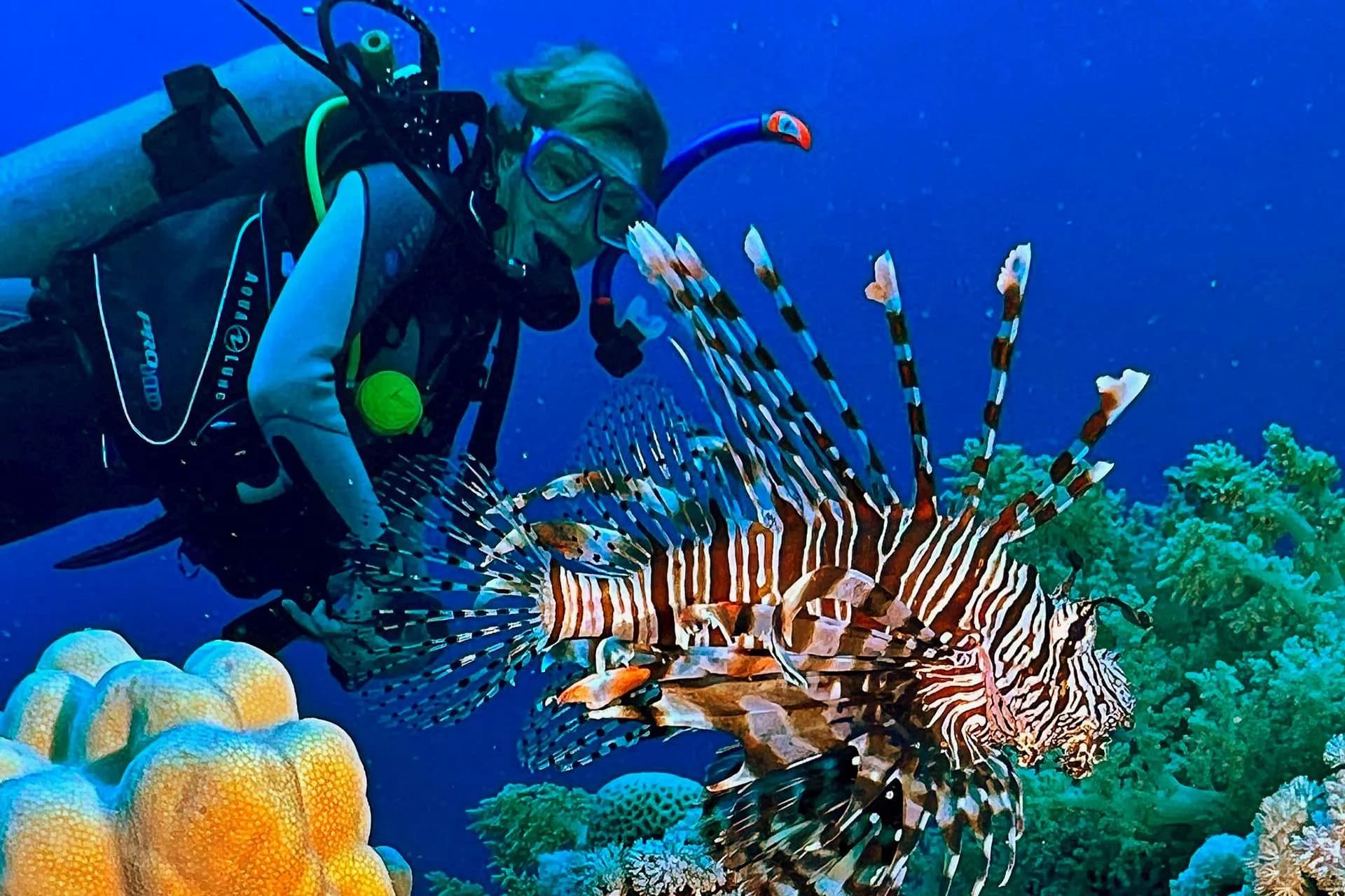 Zerib Kebir: Unveiling El Quseir’s Hidden Gem for Scuba Divers